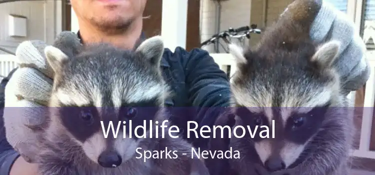 Wildlife Removal Sparks - Nevada