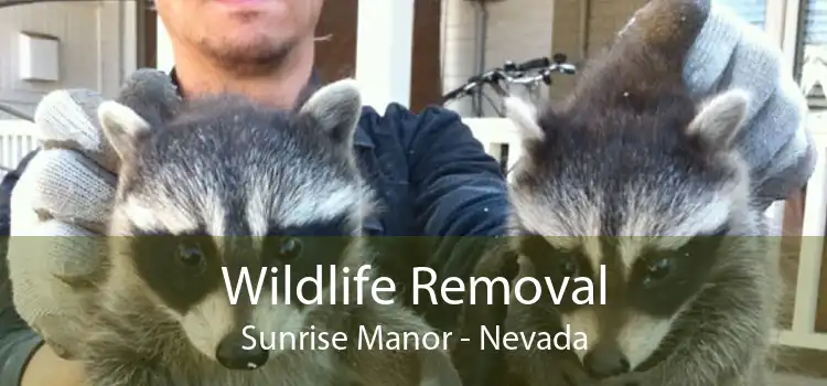 Wildlife Removal Sunrise Manor - Nevada
