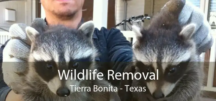 Wildlife Removal Tierra Bonita - Texas