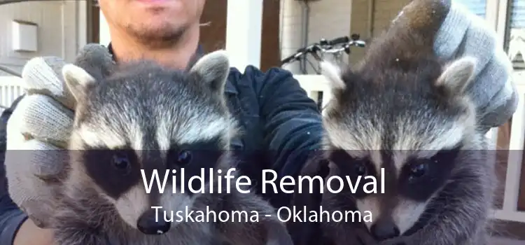 Wildlife Removal Tuskahoma - Oklahoma