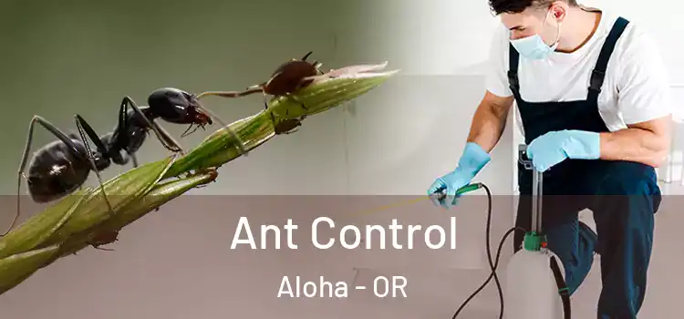  Ant Control Aloha - OR