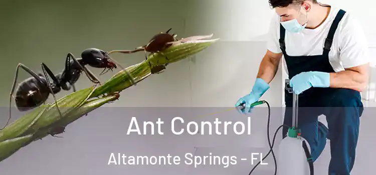  Ant Control Altamonte Springs - FL