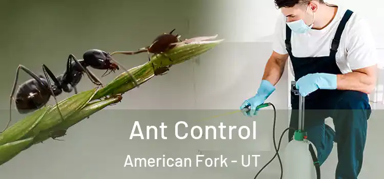  Ant Control American Fork - UT