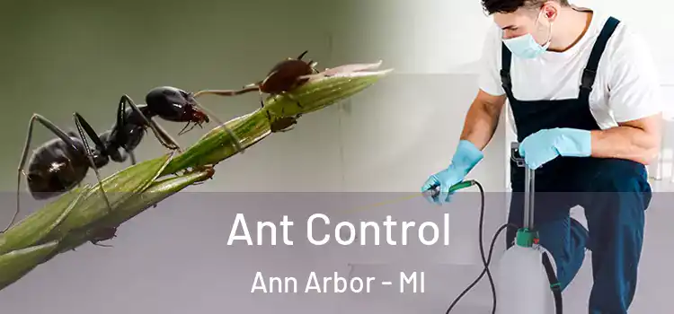  Ant Control Ann Arbor - MI