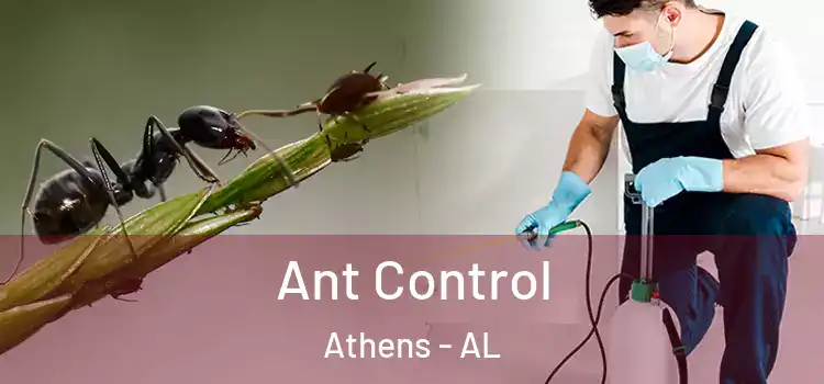  Ant Control Athens - AL