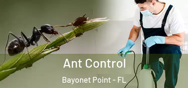  Ant Control Bayonet Point - FL