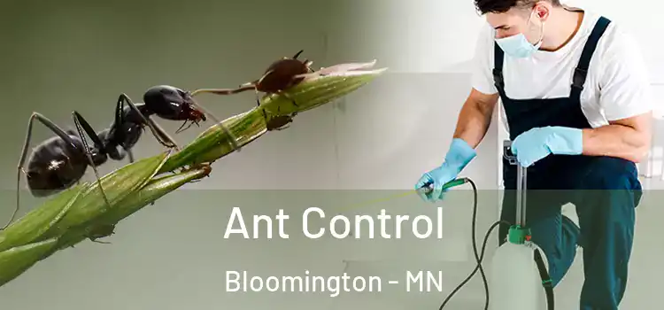  Ant Control Bloomington - MN