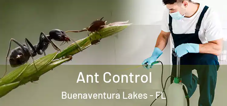  Ant Control Buenaventura Lakes - FL