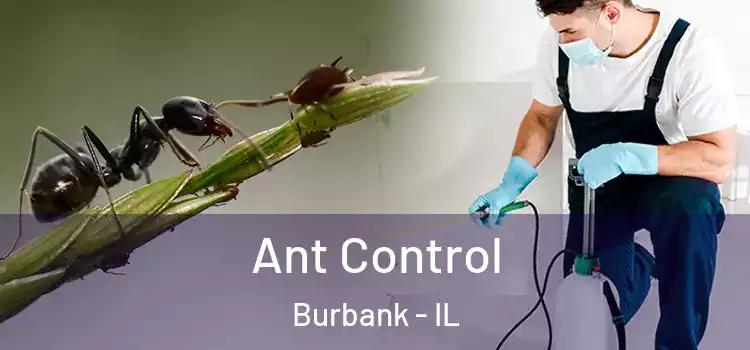  Ant Control Burbank - IL