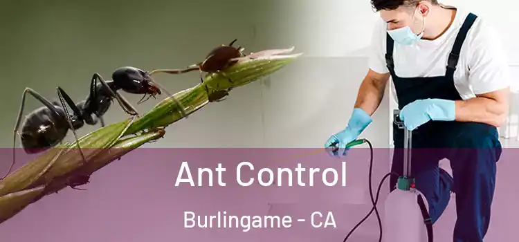  Ant Control Burlingame - CA