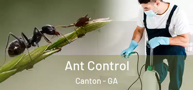  Ant Control Canton - GA