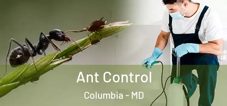  Ant Control Columbia - MD