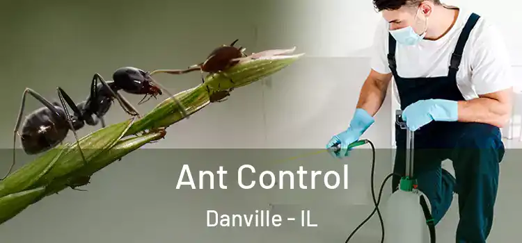  Ant Control Danville - IL