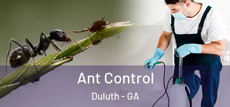  Ant Control Duluth - GA