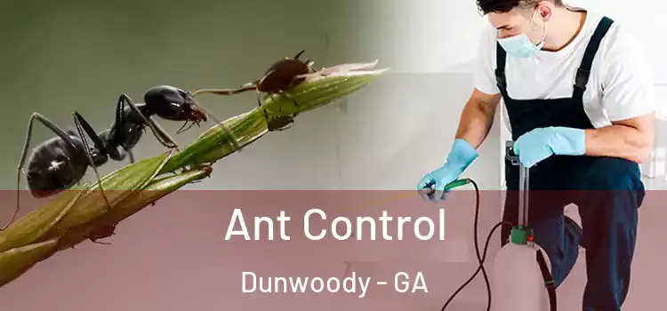 Ant Control Dunwoody - GA