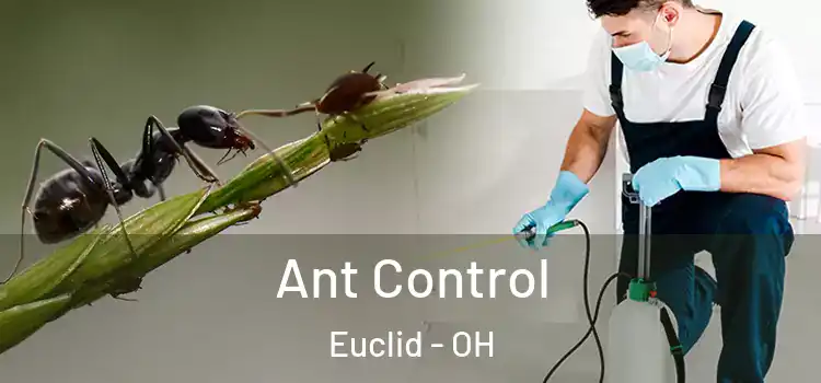  Ant Control Euclid - OH