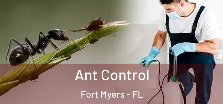  Ant Control Fort Myers - FL