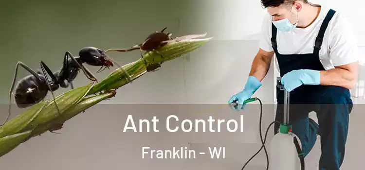  Ant Control Franklin - WI