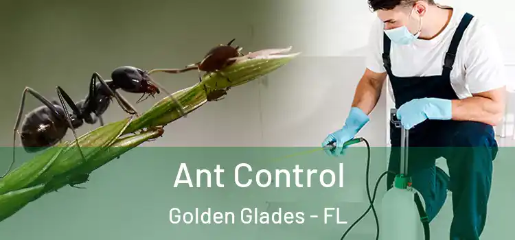  Ant Control Golden Glades - FL