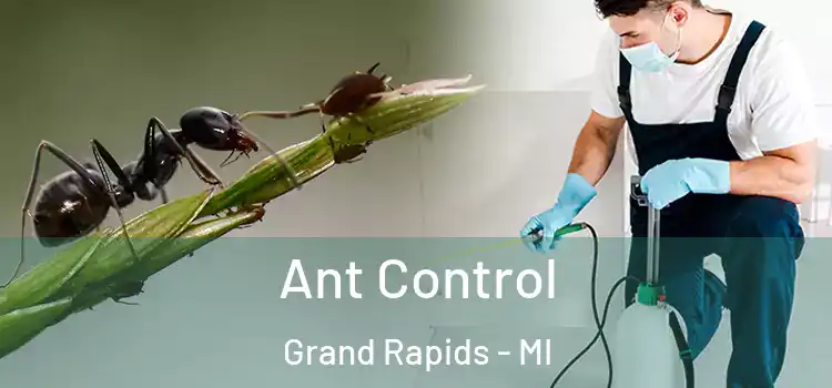  Ant Control Grand Rapids - MI