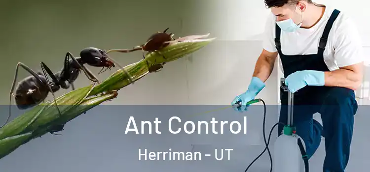  Ant Control Herriman - UT