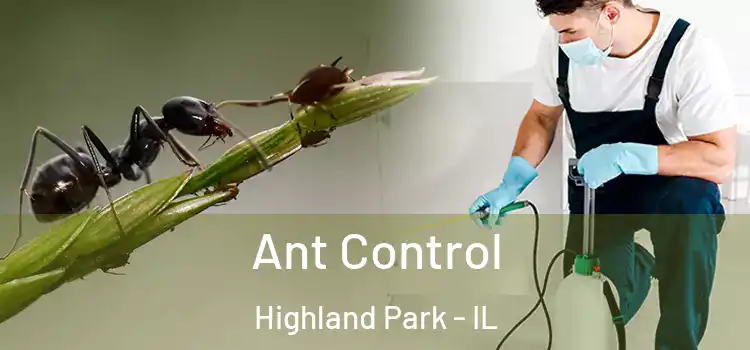  Ant Control Highland Park - IL