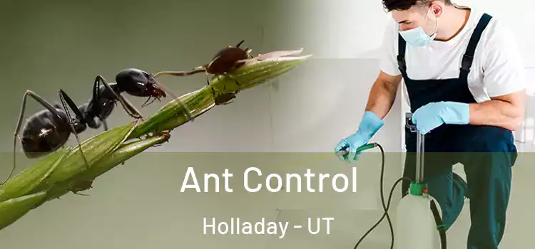  Ant Control Holladay - UT
