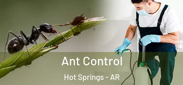  Ant Control Hot Springs - AR