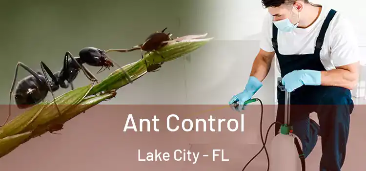  Ant Control Lake City - FL