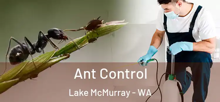  Ant Control Lake McMurray - WA