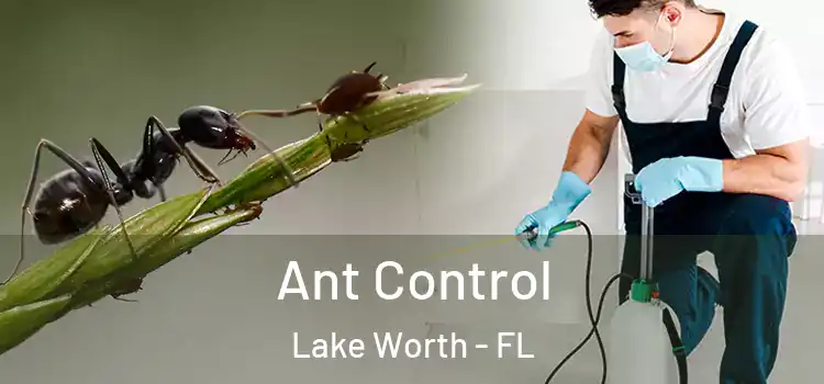  Ant Control Lake Worth - FL