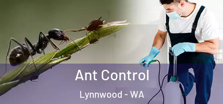  Ant Control Lynnwood - WA