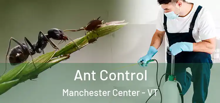  Ant Control Manchester Center - VT
