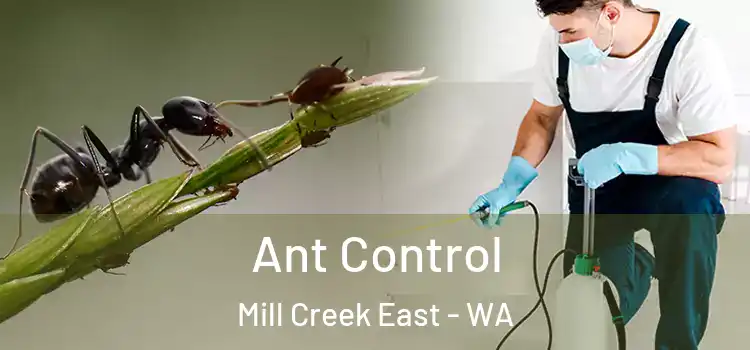  Ant Control Mill Creek East - WA