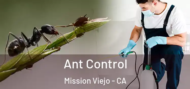 Ant Control Mission Viejo - CA