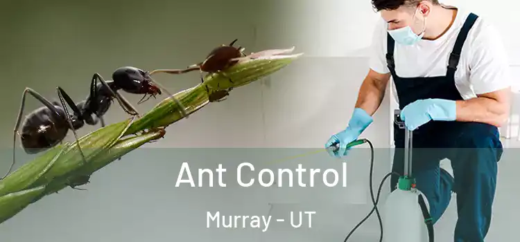  Ant Control Murray - UT