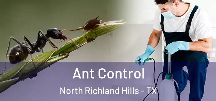 Ant Control North Richland Hills - TX