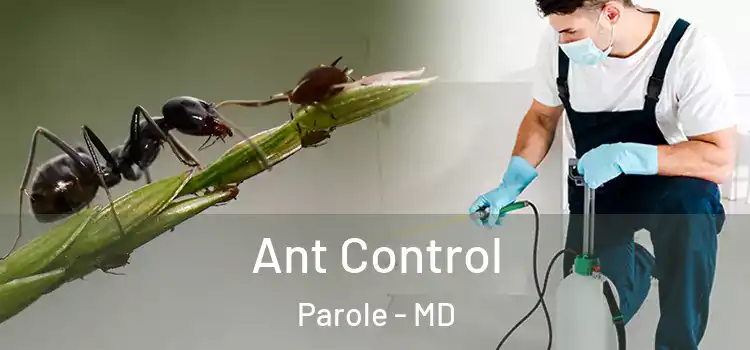 Ant Control Parole - MD