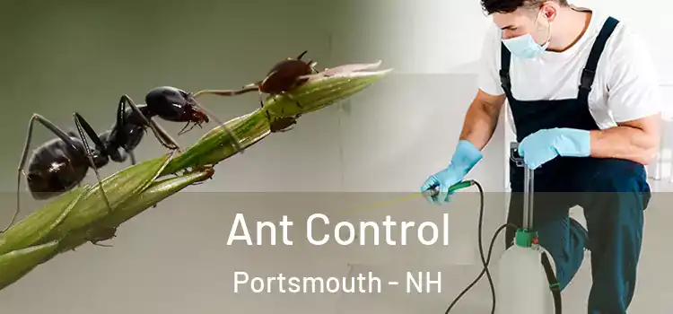 Ant Control Portsmouth - NH