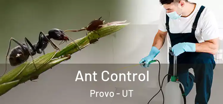  Ant Control Provo - UT