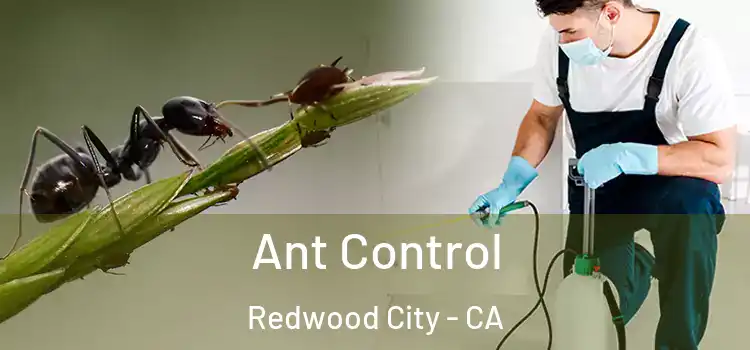  Ant Control Redwood City - CA