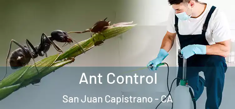 Ant Control San Juan Capistrano - CA