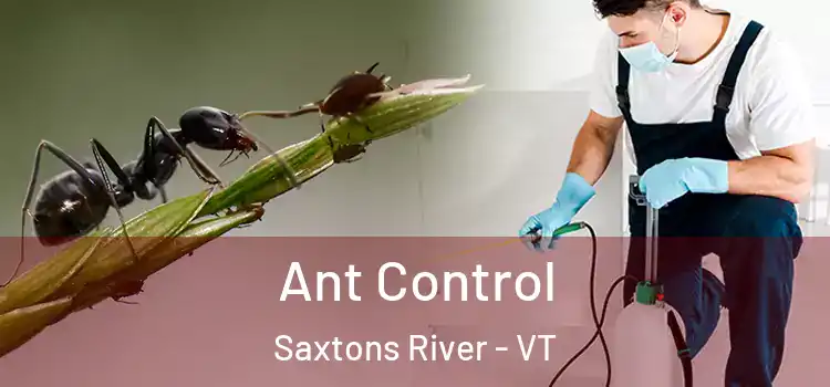  Ant Control Saxtons River - VT