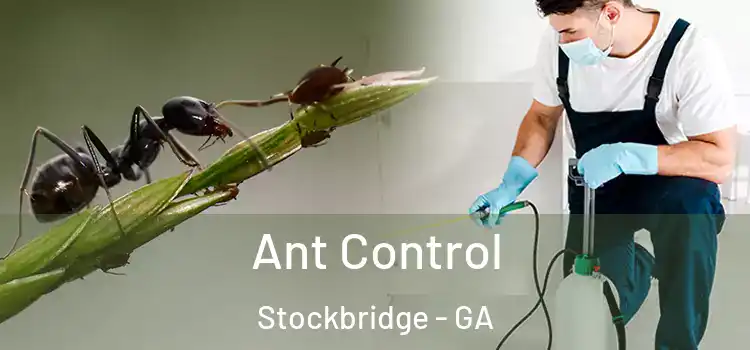  Ant Control Stockbridge - GA