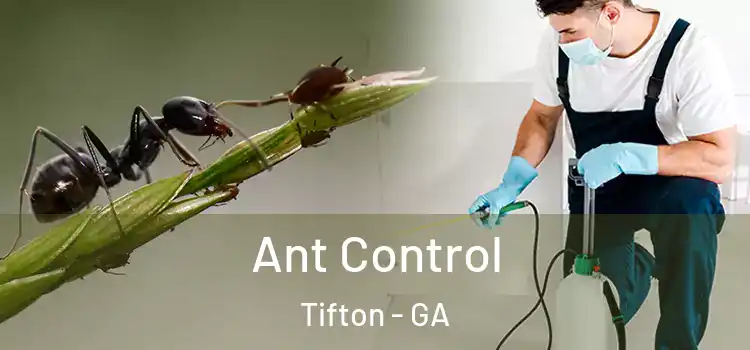  Ant Control Tifton - GA