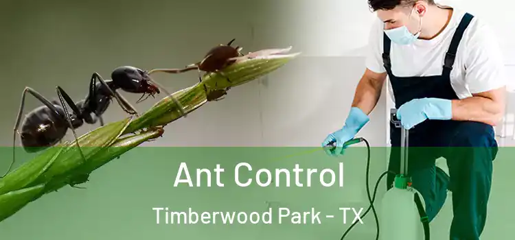 Ant Control Timberwood Park - TX