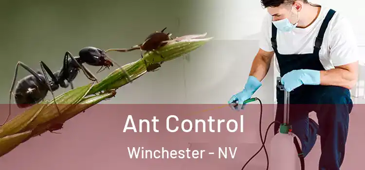  Ant Control Winchester - NV