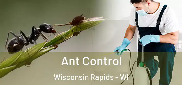  Ant Control Wisconsin Rapids - WI