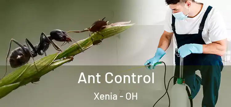  Ant Control Xenia - OH