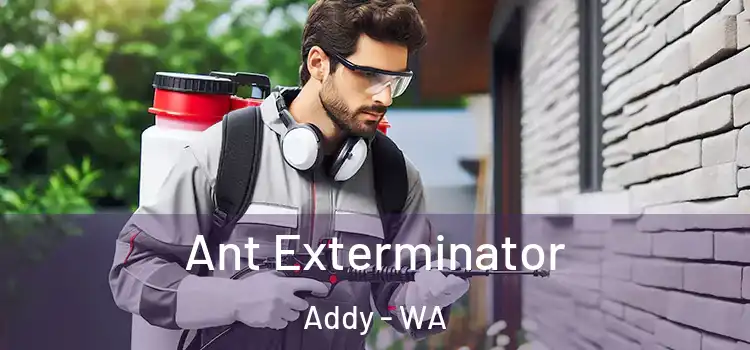  Ant Exterminator Addy - WA